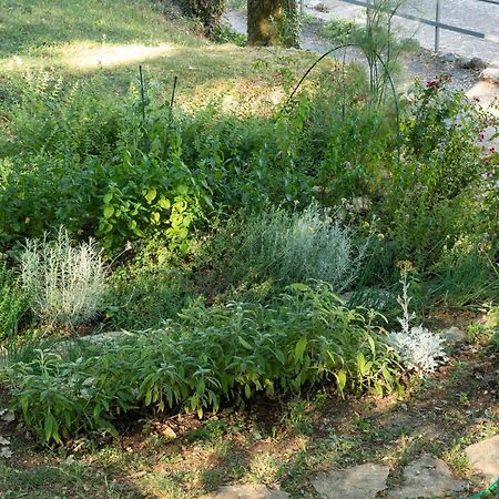 סן זנו די מונטניה La Casetta, Appartamento Con Vista Lago E Montagne מראה חיצוני תמונה